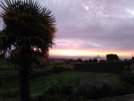 IMG_20201108_175016.jpg
