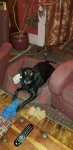 20201109_182021.jpg