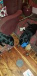 20201109_182223.jpg