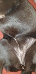 20201111_205429.jpg