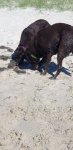 20201114_163005.jpg