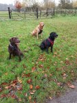 20201114_112837.jpg