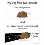 D00C6577-541A-444D-92B6-D09473E17F49.jpeg