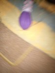 IMG_20181015_194433.jpg