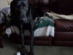 SAM_0894.JPG