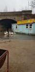 20201204_111204.jpg
