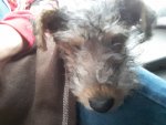 IMG-20201220-WA0001.jpg