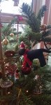 20201221_145932.jpg
