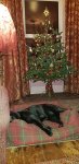 20201221_204420.jpg