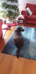 20201224_185418.jpg