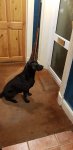 20201224_165059.jpg