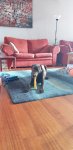 20201225_073622.jpg