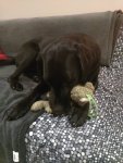 IMG_20201225_082435.jpg