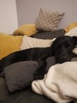 IMG_20201231_221103.jpg