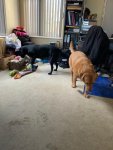 IMG-20201227-WA0010.jpg