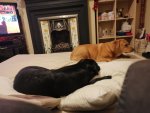 IMG_20201225_074513.jpg