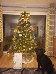 IMG_20201202_174109.jpg