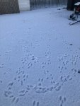D61A708B-D851-47A3-86A0-7B0F16BFE647.jpeg