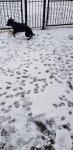 20210114_115310.jpg
