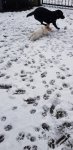 20210114_115324.jpg