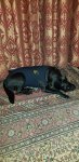 20210115_213405.jpg