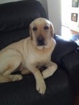IMG_20201127_165511403.jpg
