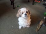 SAM_0991.JPG