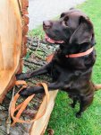 IMG-20201127-WA0001.jpg