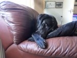 SAM_1016.JPG