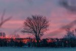 B7D907DA-C077-4B0C-A87B-787B18D56D2B.jpeg