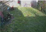 muck-cam 24-1-21.jpg