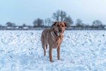71874E31-E3E7-464A-99B6-58D1AFFD3760.jpeg