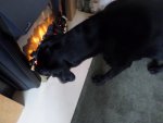 SAM_1045.JPG