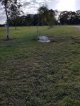 20170722_085033_resized.jpg