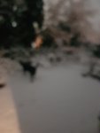 20210202_070552.jpg