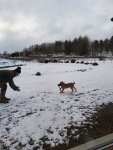 IMG-20210204-WA0000.jpg