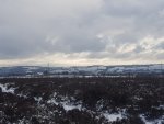 20210209_104101.jpg
