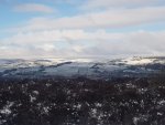 20210209_104111.jpg