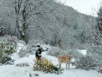 Snowy Pongo Terrace.jpeg