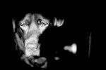 IMG-20210218-WA0004.jpg
