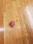 20210223_165321.jpg