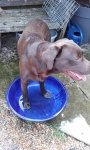 20160813_141202.jpg