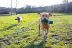 Walkies with dummies.JPG