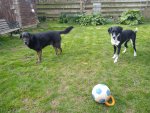 IMG_20210327_142011319.jpg