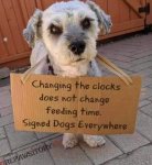 Screenshot_20210328-092537_Samsung Internet.jpg