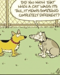 1617512366790.png