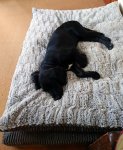 DSC_0041.JPG