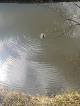 20210414_135640.jpg