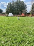 CE564177-D667-415B-A257-BA44D4D4A4CE.jpeg