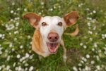 Ginny-8825-edit721.jpg
